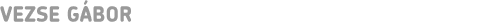 VEZSE GÁBOR