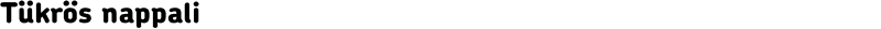 Tükrös nappali